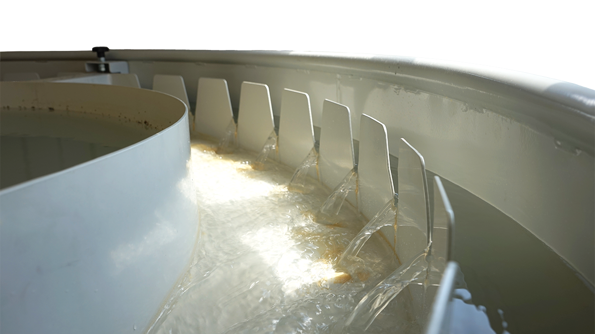 Waterbody Remediation